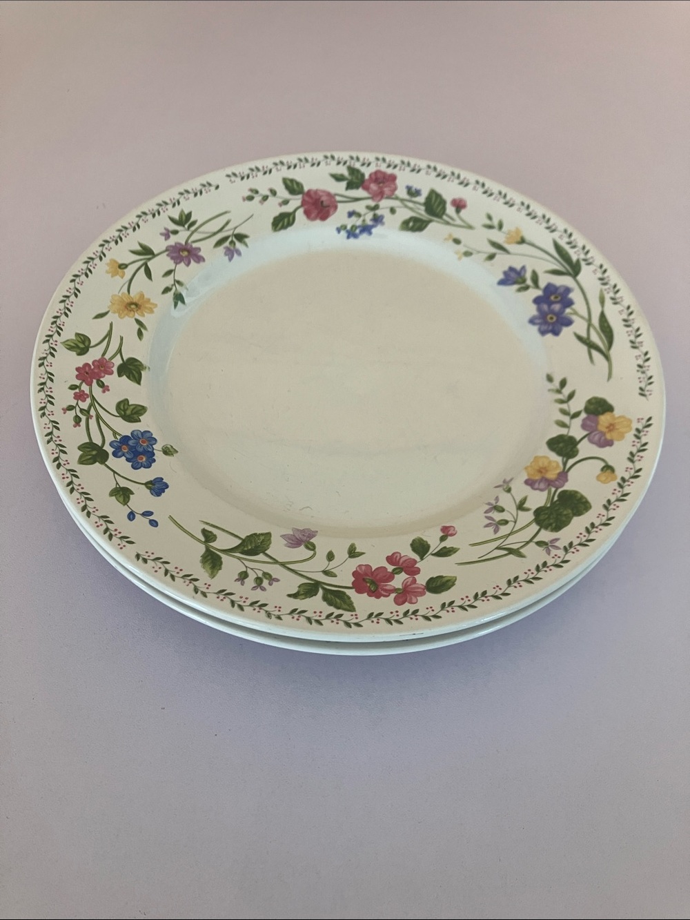 Farberware Stoneware 'English Garden' Salad Plates